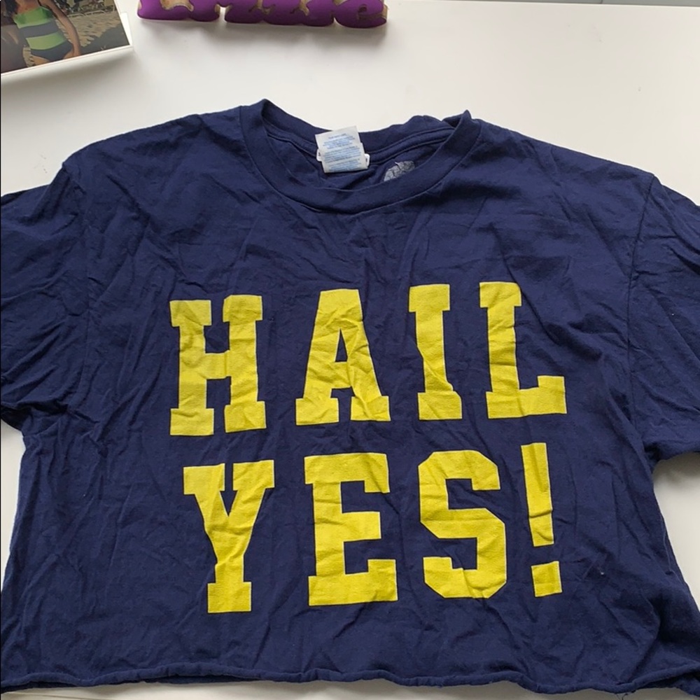 Cropped “hail yes!” Michigan shirt